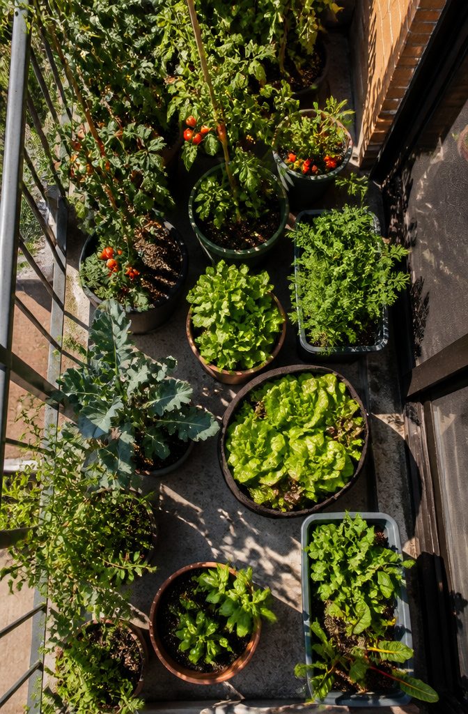 Image illustrating sunlight patterns on a balcony garden.