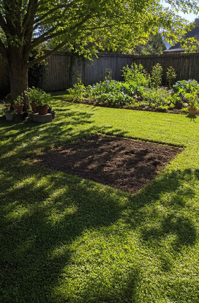 Beginner Vegetable Garden: A Complete Guide to Starting in 2026 2 A photograph of a sunny backyard area ideal for gardening.