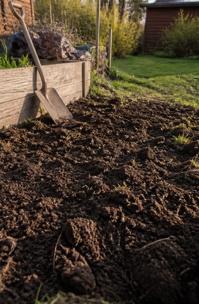 Beginner Vegetable Garden: A Complete Guide to Starting in 2026 3 Close-up of dark brown soil mixed with visible compost and a shovel.