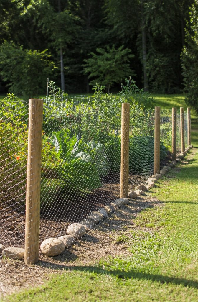 Chicken wire fencing around a garden bed, showing its transparent barrier.