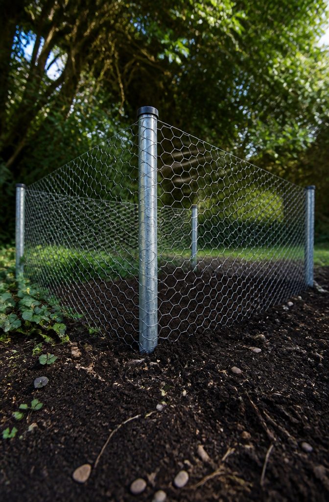 Chicken Wire Garden Fence: 5 Steps for Building a Simple Boundary 4 Metal stakes driven into the ground at the corners of a garden fence.
