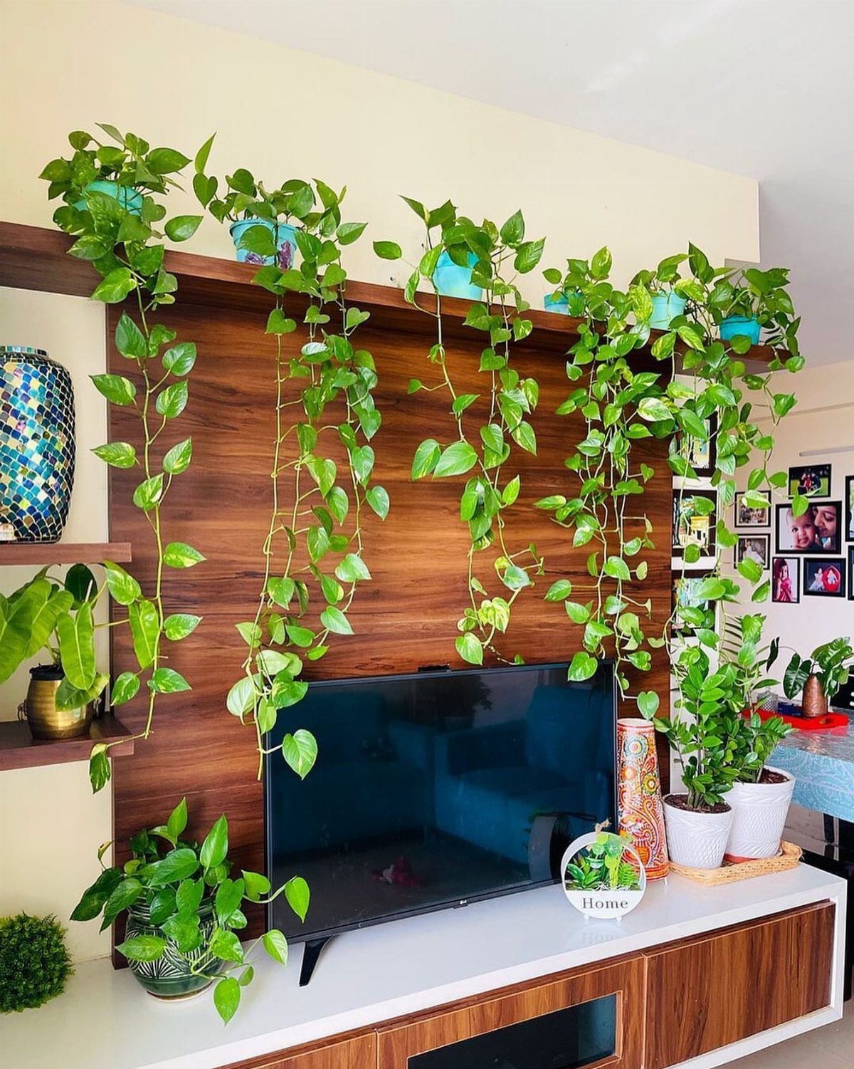 Trailing green plants cascading down a wood-paneled wall above a television entertainment center.
